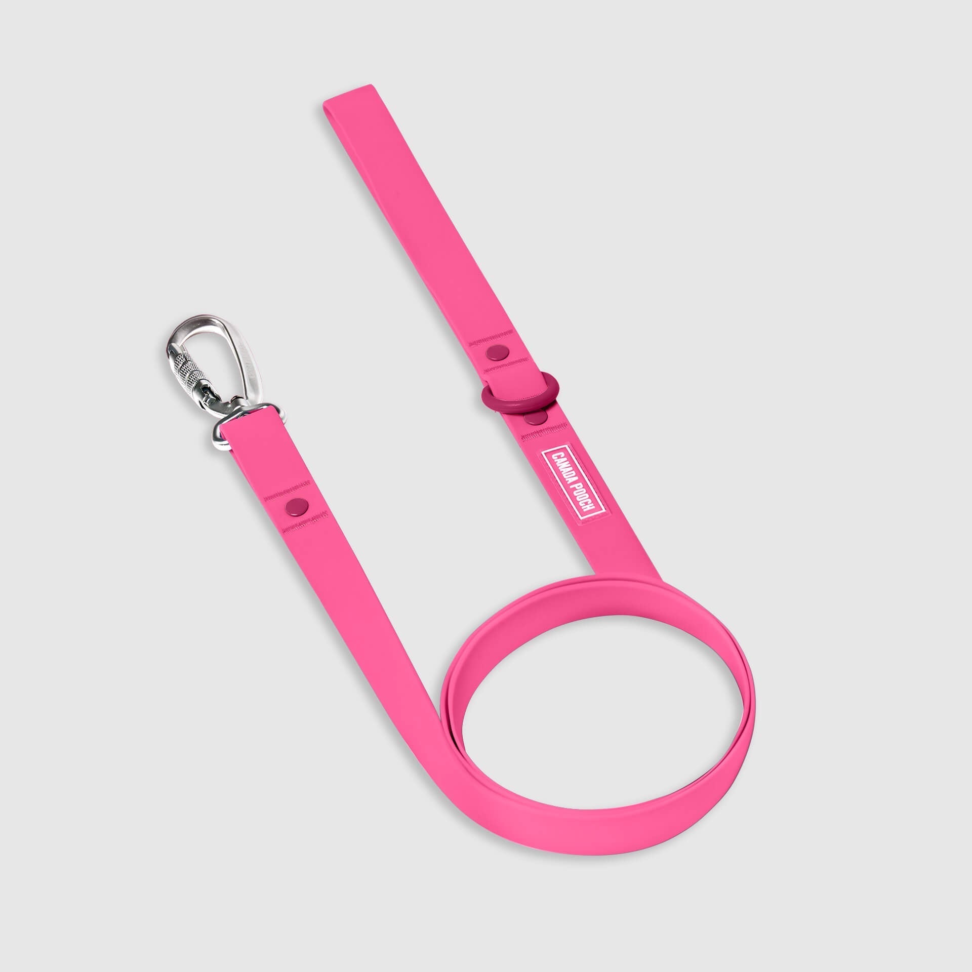 Waterproof Leash P5